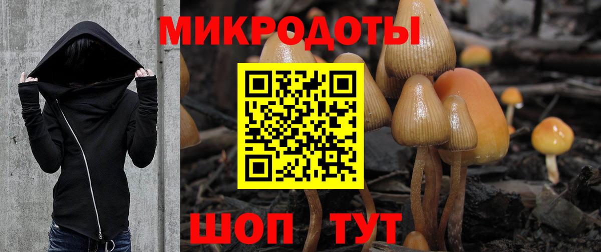 Галлюциногенные грибы прущие грибы  Вход с VPN  Конаково 